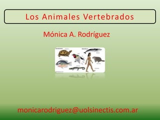 Los Animales Vertebrados
Mónica A. Rodríguez
monicarodriguez@uolsinectis.com.ar
 