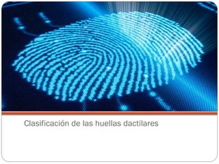 Clasificación de las huellas dactilares
 