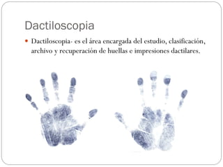 Dactiloscopia
 Dactiloscopia- es el área encargada del estudio, clasificación,
archivo y recuperación de huellas e impresiones dactilares.
 