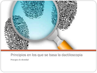 Principios en los que se basa la dactiloscopia
Principios de identidad
 