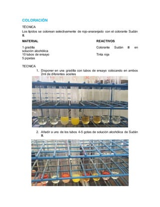 COLORACIÓN
TÉCNICA
Los lípidos se colorean selectivamente de rojo-anaranjado con el colorante Sudán
III.
MATERIAL REACTIVOS
1 gradilla Colorante Sudán III en
solución alcohólica
10 tubos de ensayo Tinta roja
5 pipetas
TECNICA
1. Disponer en una gradilla con tubos de ensayo colocando en ambos
2ml de diferentes aceites
2. Añadir a uno de los tubos 4-5 gotas de solución alcohólica de Sudán
III.
 