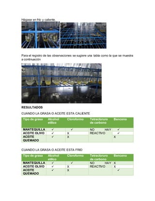 Hágase en frío y caliente.
Para el registro de las observaciones se sugiere una tabla como la que se muestra
a continuación
RESULTADOS
CUANDO LA GRASA O ACEITE ESTA CALIENTE
Tipo de grasa Alcohol
etílico
Cloroformo Tetracloruro
de carbono
Benceno
MANTEQUILLA   NO HAY
REACTIVO

ACEITE OLIVO  X 
ACEITE
QUEMADO
 X X
CUANDO LA GRASA O ACEITE ESTA FRIO
Tipo de grasa Alcohol
etílico
Cloroformo Tetracloruro
de carbono
Benceno
MANTEQUILLA   NO HAY
REACTIVO
X
ACEITE OLIVO  X X
ACEITE
QUEMADO
 X 
 