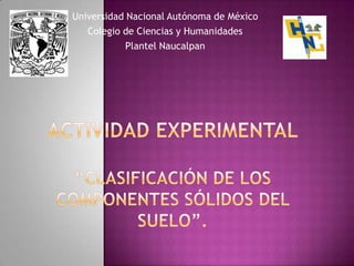 Universidad Nacional Autónoma de México
Colegio de Ciencias y Humanidades
Plantel Naucalpan

 