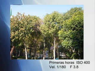 Primeras horas  ISO 400 Vel. 1/180  F 3.8 