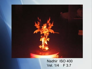Nadhir  ISO 400 Vel. 1/4  F 3.7 