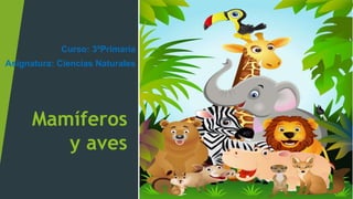 Mamíferos
y aves
Curso: 3ºPrimaria
Asignatura: Ciencias Naturales
 