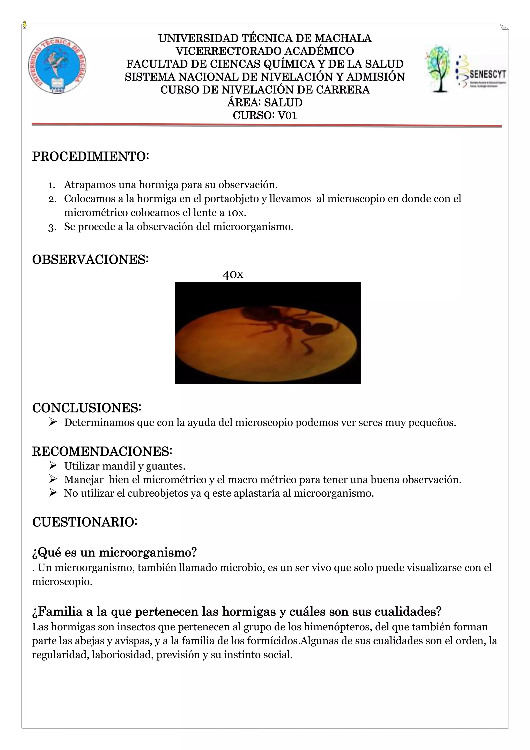 UNIVERSIDAD TÉCNICA DE MACHALA
VICERRECTORADO ACADÉMICO
FACULTAD DE CIENCAS QUÍMICA Y DE LA SALUD
SISTEMA NACIONAL DE NIVELACIÓN Y ADMISIÓN
CURSO DE NIVELACIÓN DE CARRERA
ÁREA: SALUD
CURSO: V01

PROCEDIMIENTO:
1. Atrapamos una hormiga para su observación.
2. Colocamos a la hormiga en el portaobjeto y llevamos al microscopio en donde con el
micrométrico colocamos el lente a 10x.
3. Se procede a la observación del microorganismo.

OBSERVACIONES:
40x

CONCLUSIONES:
 Determinamos que con la ayuda del microscopio podemos ver seres muy pequeños.
RECOMENDACIONES:
 Utilizar mandil y guantes.
 Manejar bien el micrométrico y el macro métrico para tener una buena observación.
 No utilizar el cubreobjetos ya q este aplastaría al microorganismo.
CUESTIONARIO:
¿Qué es un microorganismo?
. Un microorganismo, también llamado microbio, es un ser vivo que solo puede visualizarse con el
microscopio.

¿Familia a la que pertenecen las hormigas y cuáles son sus cualidades?
Las hormigas son insectos que pertenecen al grupo de los himenópteros, del que también forman
parte las abejas y avispas, y a la familia de los formícidos.Algunas de sus cualidades son el orden, la
regularidad, laboriosidad, previsión y su instinto social.

 