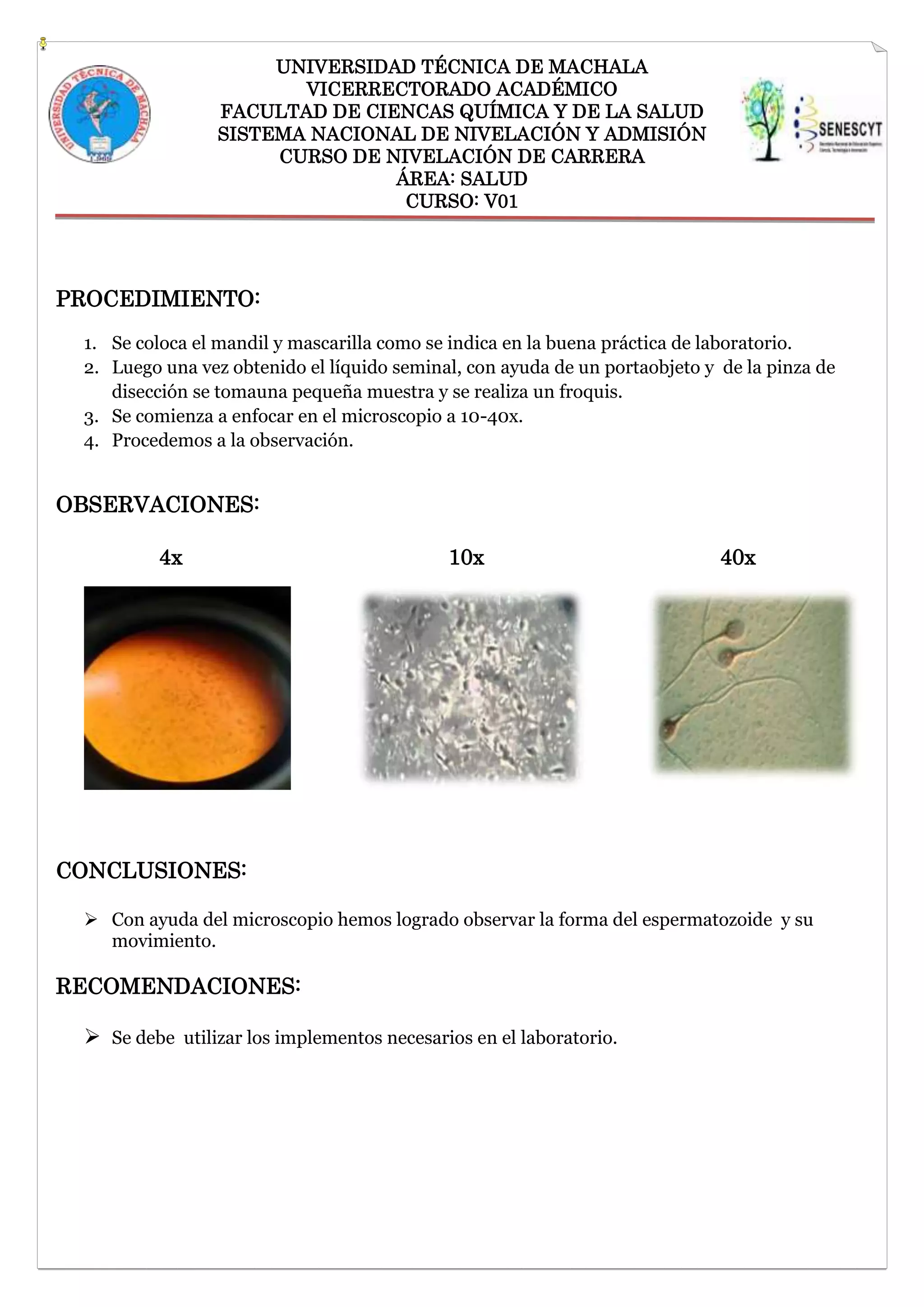 UNIVERSIDAD TÉCNICA DE MACHALA
VICERRECTORADO ACADÉMICO
FACULTAD DE CIENCAS QUÍMICA Y DE LA SALUD
SISTEMA NACIONAL DE NIVELACIÓN Y ADMISIÓN
CURSO DE NIVELACIÓN DE CARRERA
ÁREA: SALUD
CURSO: V01

PROCEDIMIENTO:
1. Se coloca el mandil y mascarilla como se indica en la buena práctica de laboratorio.
2. Luego una vez obtenido el líquido seminal, con ayuda de un portaobjeto y de la pinza de
disección se tomauna pequeña muestra y se realiza un froquis.
3. Se comienza a enfocar en el microscopio a 10-40x.
4. Procedemos a la observación.

OBSERVACIONES:
4x

10x

40x

CONCLUSIONES:
 Con ayuda del microscopio hemos logrado observar la forma del espermatozoide y su
movimiento.

RECOMENDACIONES:
 Se debe utilizar los implementos necesarios en el laboratorio.

 