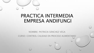PRACTICA INTERMEDIA
EMPRESA ANDIFUNGI
NOMBRE: PATRICIA SÁNCHEZ VEGA
CURSO: CONTROL CALIDAD EN PROCESO ALIMENTARIO
 