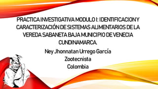 PRACTICA INVESTIGATIVA MODULO I: IDENTIFICACION Y
CARACTERIZACIÓN DE SISTEMAS ALIMENTARIOS DE LA
VEREDA SABANETA BAJA MUNICIPIO DE VENECIA
CUNDINAMARCA.
Ney Jhonnatan Urrego García
Zootecnista
Colombia
 