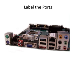 Label the Ports

 