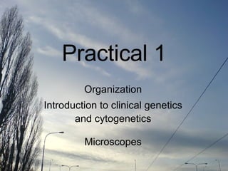 Practical 1 Organization Introduction to clinical genetics and cytogenetics Microscopes 