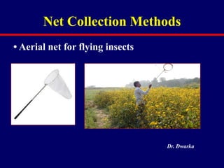 Comprehensive Methods for Collection and Preservation of Insects in ...
