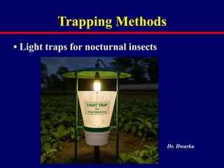 Comprehensive Methods for Collection and Preservation of Insects in ...