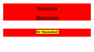 Practical-14
Blood groups
Dr Shamshad
 