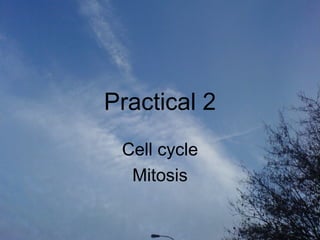 Practical 2 Cell cycle Mitosis 