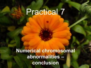 Practical 7 Numerical chromosomal abnormalities – conclusion 