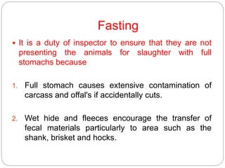 Image showcasing Pre slaughtering .pptx