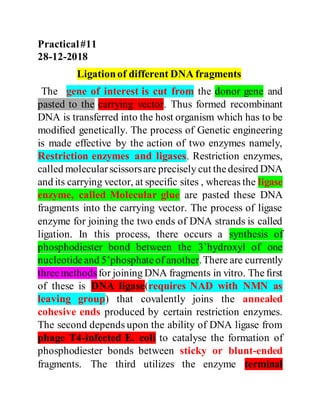 Practical#11
28-12-2018
Ligationof different DNA fragments
The gene of interest is cut from the donor gene and
pasted to the carrying vector. Thus formed recombinant
DNA is transferred into the host organism which has to be
modified genetically. The process of Genetic engineering
is made effective by the action of two enzymes namely,
Restriction enzymes and ligases. Restriction enzymes,
called molecularscissorsare precisely cut thedesired DNA
and its carrying vector, at specific sites , whereas the ligase
enzyme, called Molecular glue are pasted these DNA
fragments into the carrying vector. The process of ligase
enzyme for joining the two ends of DNA strands is called
ligation. In this process, there occurs a synthesis of
phosphodiester bond between the 3’hydroxyl of one
nucleotideand 5’phosphateof another.There are currently
threemethodsfor joining DNA fragments in vitro. The ﬁrst
of these is DNA ligase(requires NAD with NMN as
leaving group) that covalently joins the annealed
cohesive ends produced by certain restriction enzymes.
The second depends upon the ability of DNA ligase from
phage T4-infected E. coli to catalyse the formation of
phosphodiester bonds between sticky or blunt-ended
fragments. The third utilizes the enzyme terminal
 