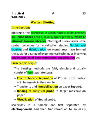 Practical # 13
9-01-2019
Western Blotting
Introduction:
Blotting is the technique in which nucleic acids, proteins
are immobilized onto a solid support generally nylon or
nitrocellulosemembranes. Blotting of nucleic acids is the
central technique for hybridization studies. Nucleic acid
labeling and Hybridization on membranes have formed
the basis for a range of experimental techniques involving
understanding of gene expression, organization etc.
General principle:
The blotting methods are fairly simple and usually
consist of four separate steps:
 Electrophoretic Separation of Protein or of nucleic
acid fragments in the sample.
 Transfer to and immobilization on paper Support.
 Binding of analytical probe to target molecule on
paper.
 Visualization of Bound probe.
Molecules in a sample are first separated by
electrophoresis and then transferred on to an easily
 