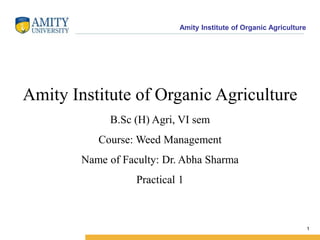 Amity Institute of Organic Agriculture
1
Amity Institute of Organic Agriculture
B.Sc (H) Agri, VI sem
Course: Weed Management
Name of Faculty: Dr. Abha Sharma
Practical 1
 