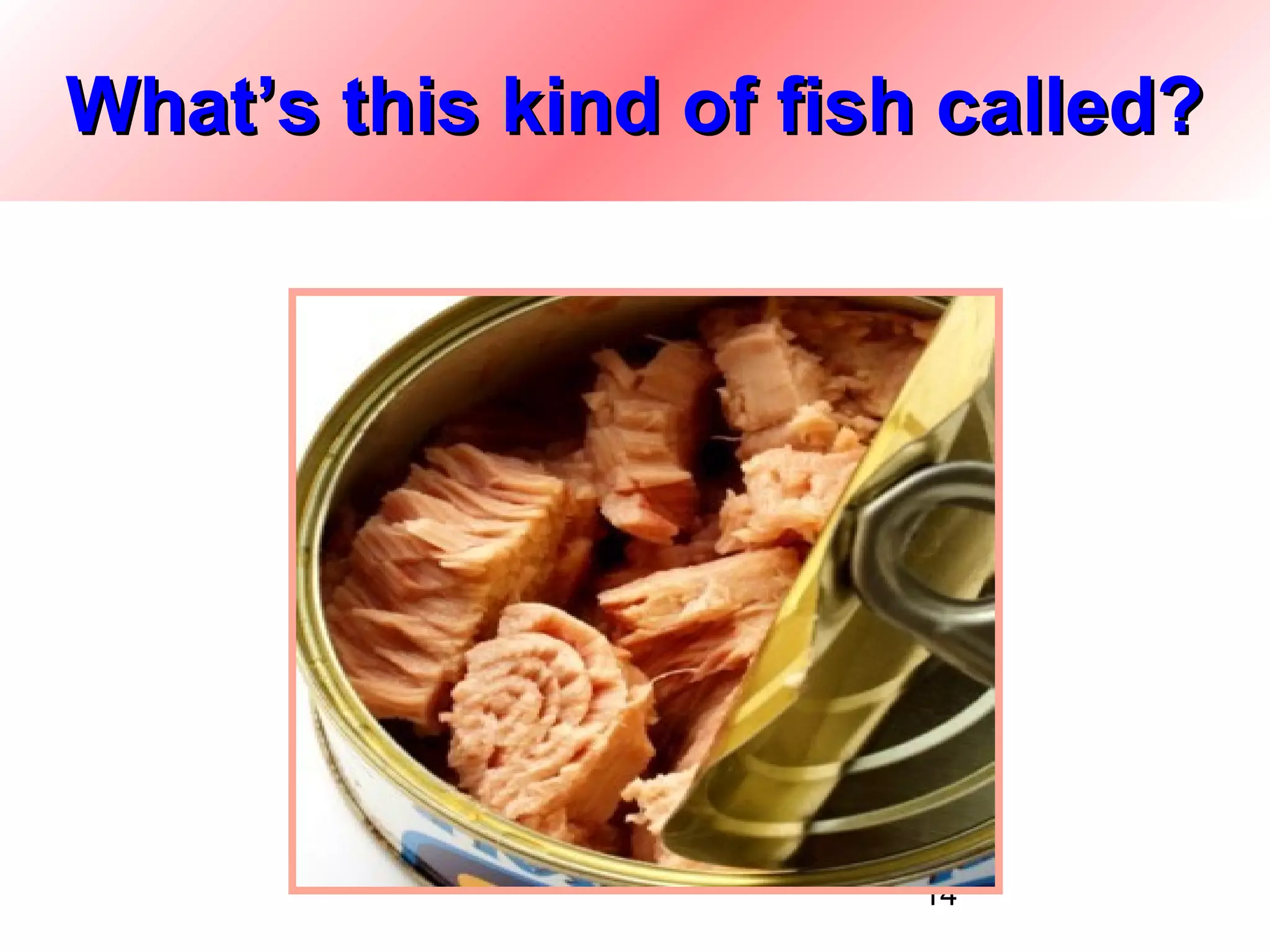 What’s this kind of fish called?




                        14
 