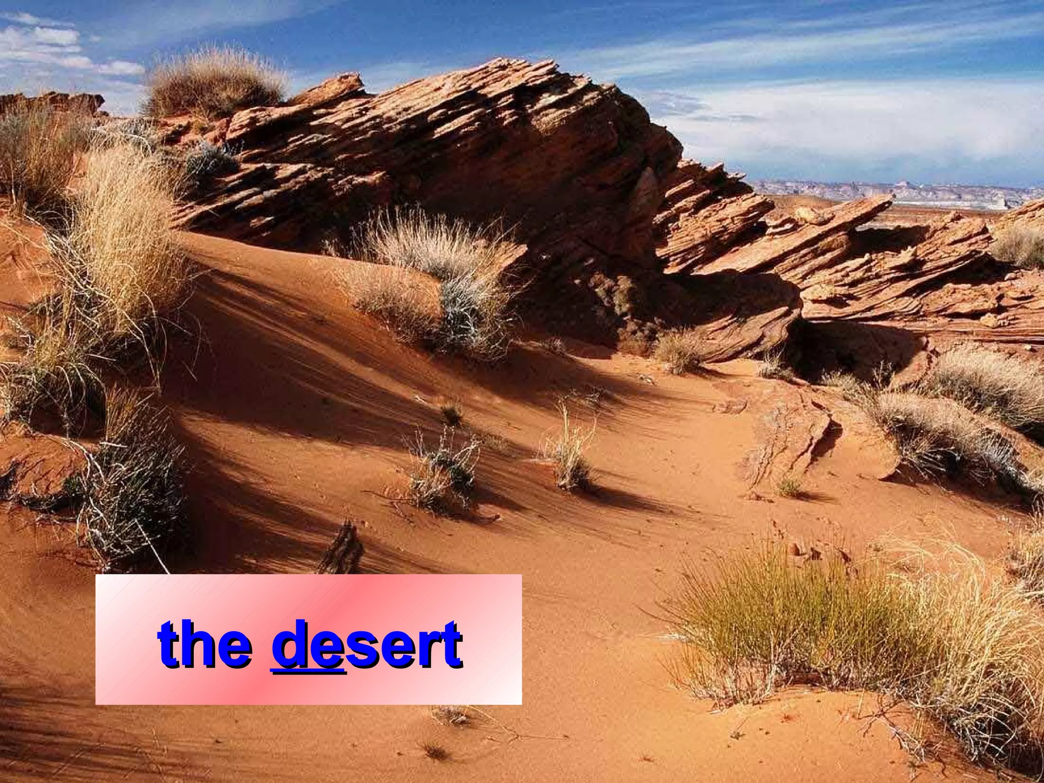 the desert
             8
 