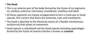 Practical – 2To study the External features of.pptx