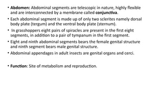 Practical – 2To study the External features of.pptx
