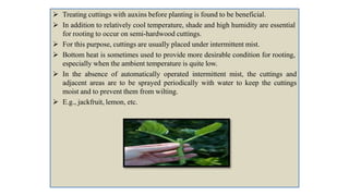  Treating cuttings with auxins before planting is found to be beneficial.
 In addition to relatively cool temperature, shade and high humidity are essential
for rooting to occur on semi-hardwood cuttings.
 For this purpose, cuttings are usually placed under intermittent mist.
 Bottom heat is sometimes used to provide more desirable condition for rooting,
especially when the ambient temperature is quite low.
 In the absence of automatically operated intermittent mist, the cuttings and
adjacent areas are to be sprayed periodically with water to keep the cuttings
moist and to prevent them from wilting.
 E.g., jackfruit, lemon, etc.
 