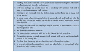  Heading back of the terminal shoot results in several laterals to grow, which are
excellent materials for softwood cuttings.
 Softwood cuttings are usually made 10-15 cm long with terminal buds and at
least two to three nodes on each cutting.
 The leaves are removed from the bottom node and the basal cut is made just
below a node.
 In some cases, where the central shoot is extremely soft and leads so wilt, the
soft lip may be cut out leaving the cutting with two sets of leaves and a third
node beneath.
 The upper leaves which are very large may be trimmed to some extent to reduce
the transpiration rate.
 All flower buds are also removed.
 For most cuttings, treatment with auxin like IBAor NAAis beneficial.
 The cuttings should be made as described, treated with auxin and immediately
planted in the rooting bed.
 The best time for taking softwood cuttings varies from plant to plant.
 In general, cuttings from deciduous plants are taken before or immediately after
new shoots have ceased to grow.
 
