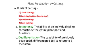 Plant Propagation by Cuttings
a. Kinds of cuttings
1) Stem cuttings
2) Leaf-bud cutting (single-eye)
3) Root cuttings
4) Leaf cuttings
b. Totipotency-The ability of an individual cell to
reconstitute the entire plant part and
functions
c. Dedifferentiation-The capability of previously
developed, differentiated cell to return to a
meristem
 