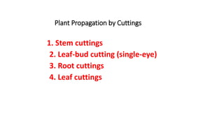 Plant Propagation by Cuttings
1. Stem cuttings
2. Leaf-bud cutting (single-eye)
3. Root cuttings
4. Leaf cuttings
 