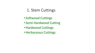 1. Stem Cuttings
•Softwood Cuttings
•Semi-Hardwood Cutting
•Hardwood Cuttings
•Herbaceous Cuttings
 