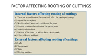 FACTOR AFFECTING ROOTING OF CUTTINGS
Internal factors affecting rooting of cuttings
 There are several internal factors which affect the rooting of cuttings.
(1) Age of the stock plant
(2) Nutritional and hormonal condition of the plant
(3) Relative position of the shoot on the parent plant
(4) Maturity of the tissue
(5) Position of the basal cut with reference to the node
(6) Effect of leaves and buds
External factors affecting rooting of cuttings
(1) Light
(2) Temperature
(3) Water
(4) Rooting medium
 