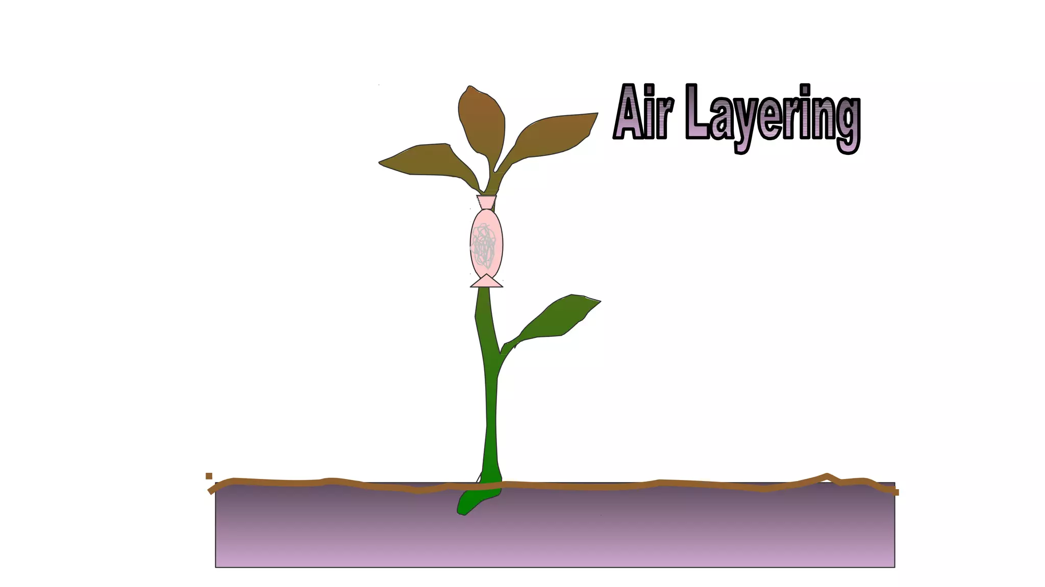 Layering propagation | PPTX