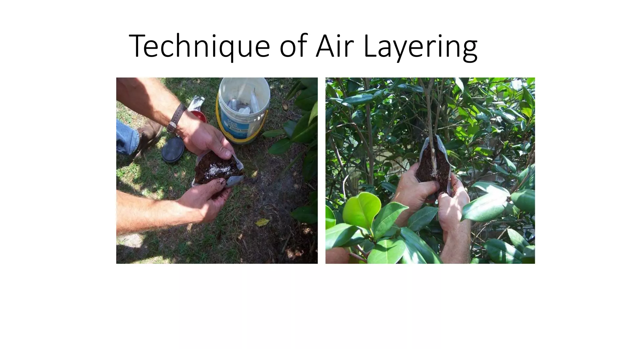 Layering propagation | PPTX