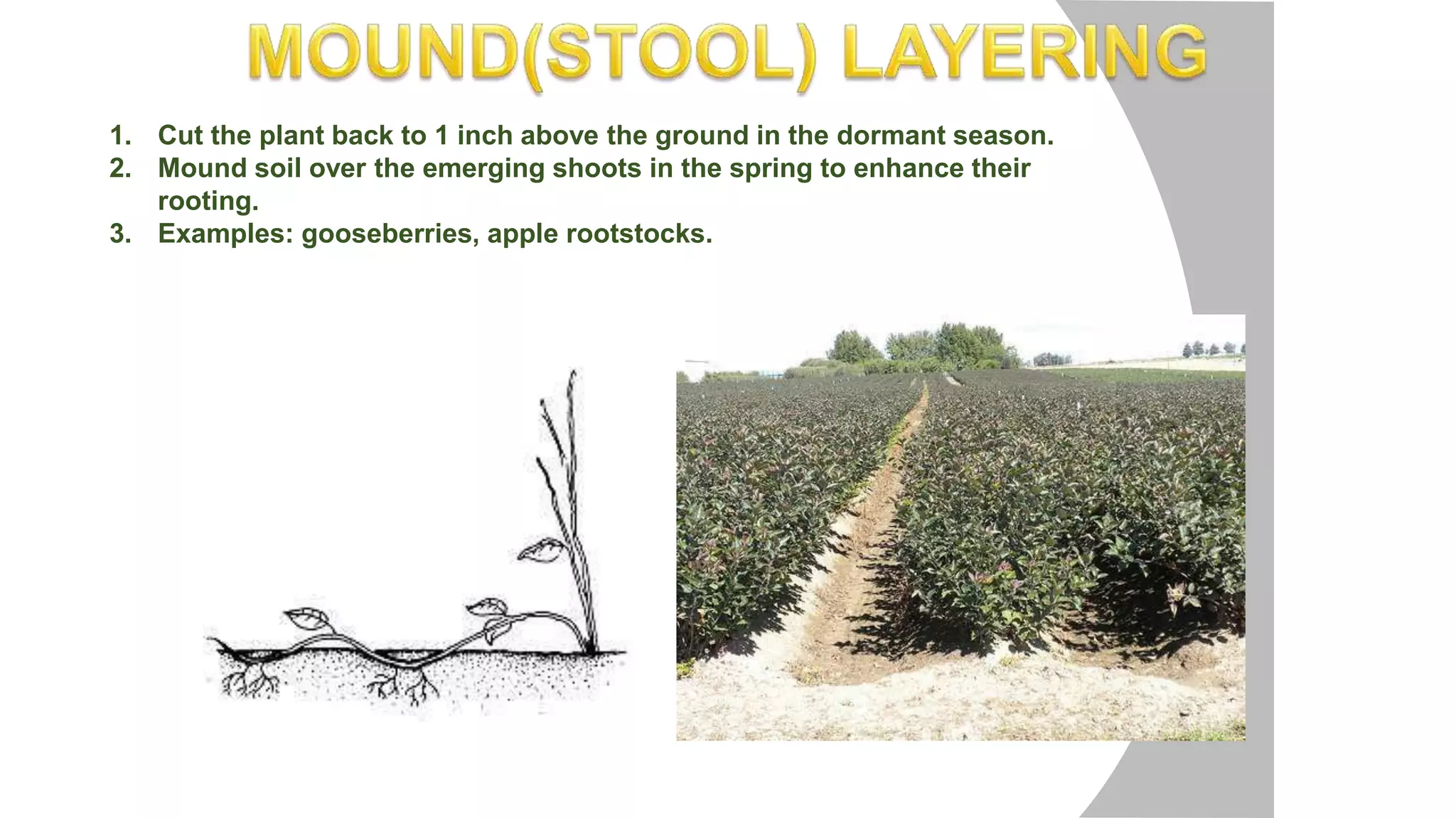 Layering propagation | PPTX