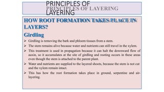 Layering propagation | PPTX