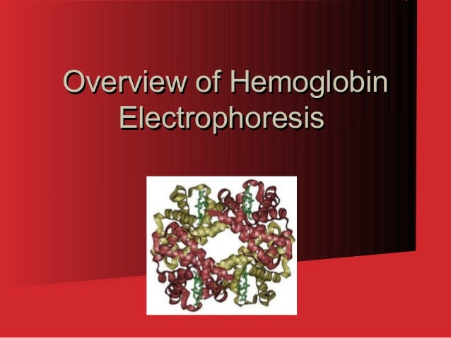 hemoglobin electrophoresis biochemistry hemoglobin electrophoresis