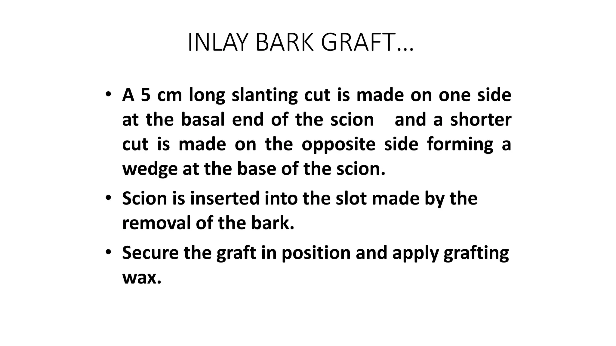 INLAY BARK GRAFT…
• A 5 cm long slanting cut is made on one side
at the basal end of the scion and a shorter
cut is made on the opposite side forming a
wedge at the base of the scion.
• Scion is inserted into the slot made by the
removal of the bark.
• Secure the graft in position and apply grafting
wax.
 
