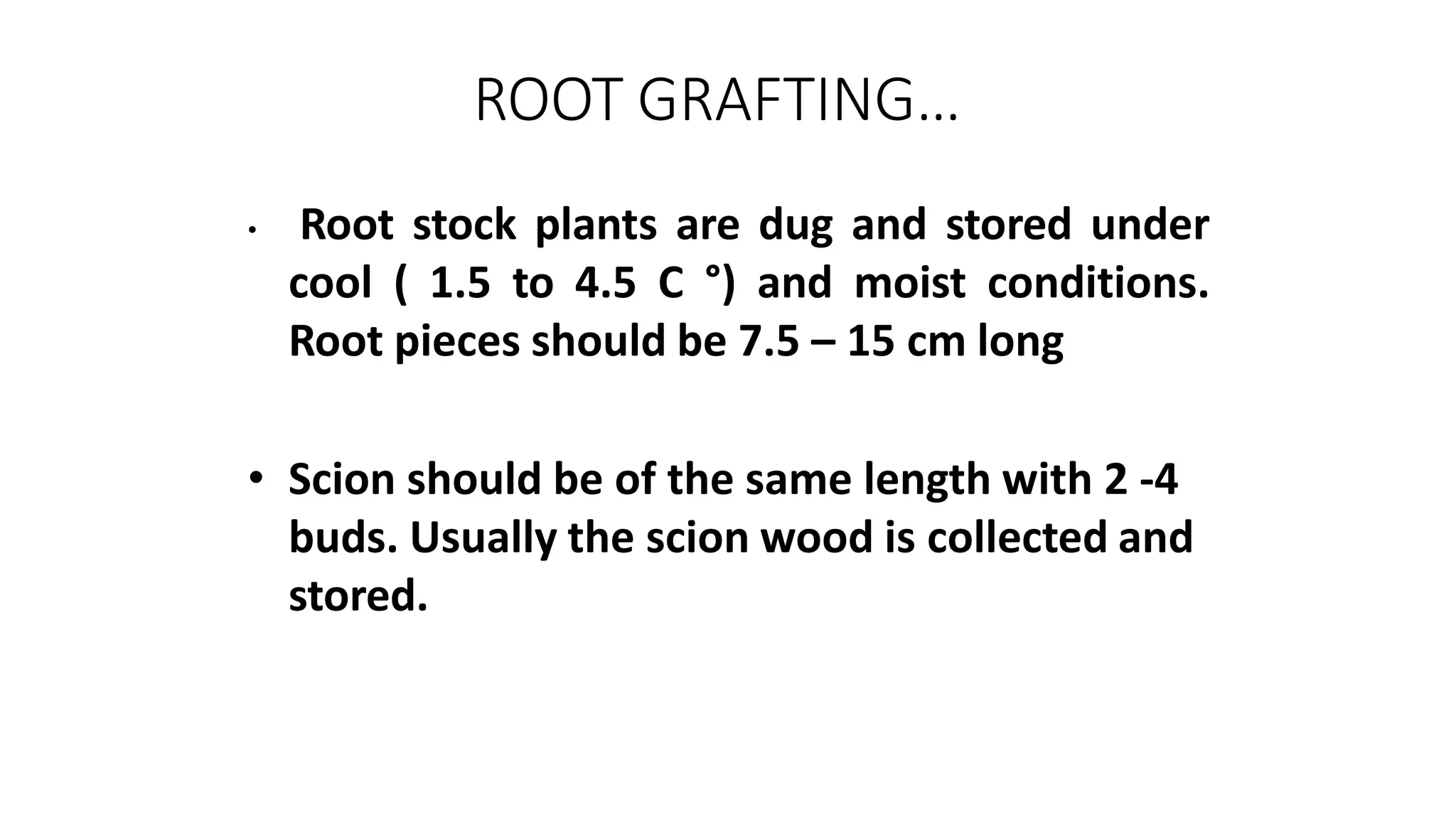 ROOT GRAFTING…
• Root stock plants are dug and stored under
cool ( 1.5 to 4.5 C °) and moist conditions.
Root pieces should be 7.5 – 15 cm long
• Scion should be of the same length with 2 -4
buds. Usually the scion wood is collected and
stored.
 