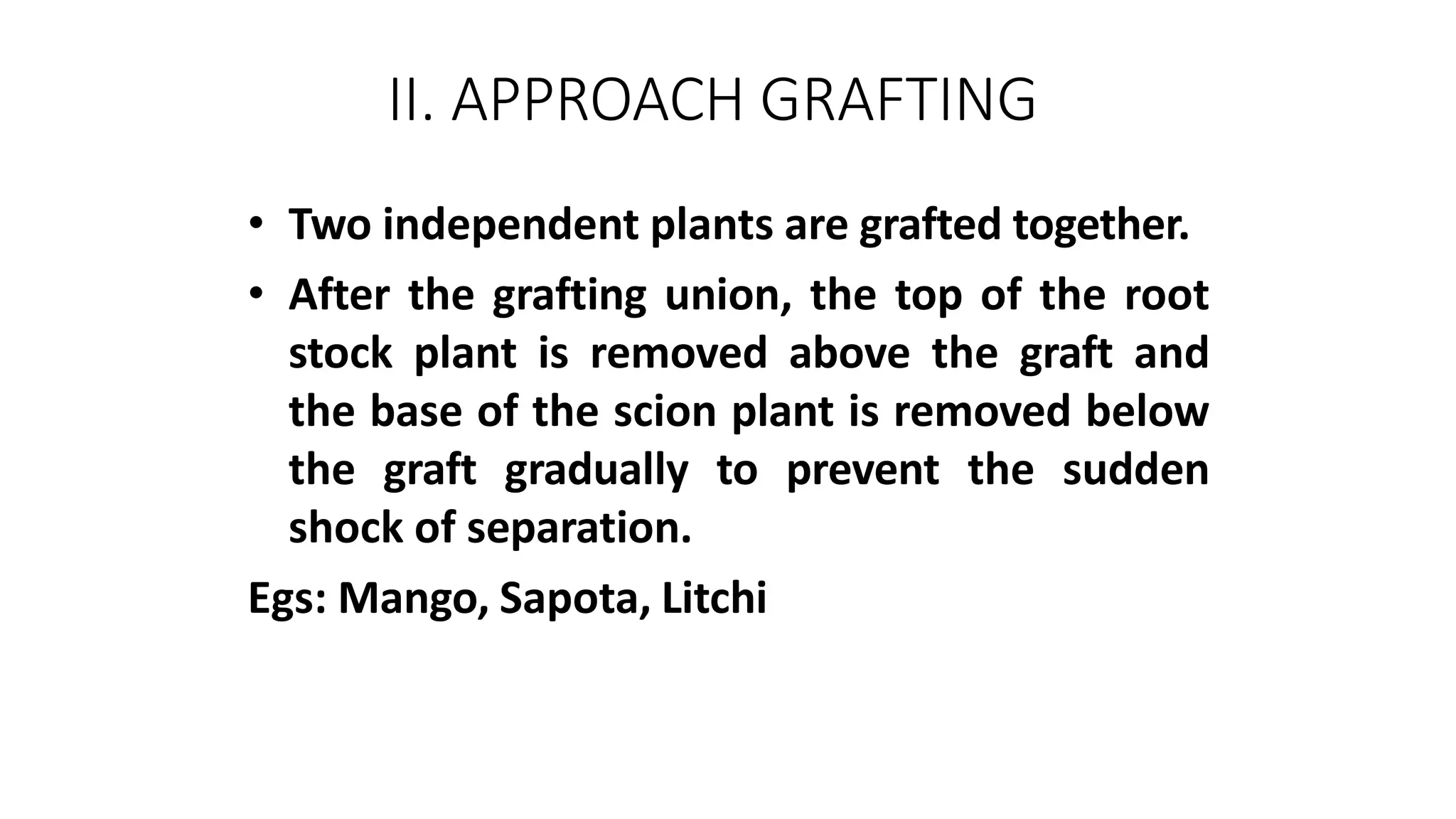 II. APPROACH GRAFTING
• Two independent plants are grafted together.
• After the grafting union, the top of the root
stock plant is removed above the graft and
the base of the scion plant is removed below
the graft gradually to prevent the sudden
shock of separation.
Egs: Mango, Sapota, Litchi
 