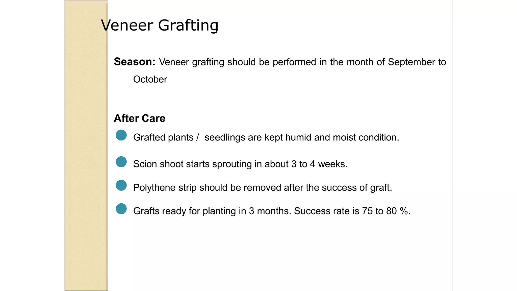 Season: Veneer grafting should be performed in the month of September to
October
After Care
● Grafted plants / seedlings are kept humid and moist condition.
● Scion shoot starts sprouting in about 3 to 4 weeks.
● Polythene strip should be removed after the success of graft.
● Grafts ready for planting in 3 months. Success rate is 75 to 80 %.
Veneer Grafting
 