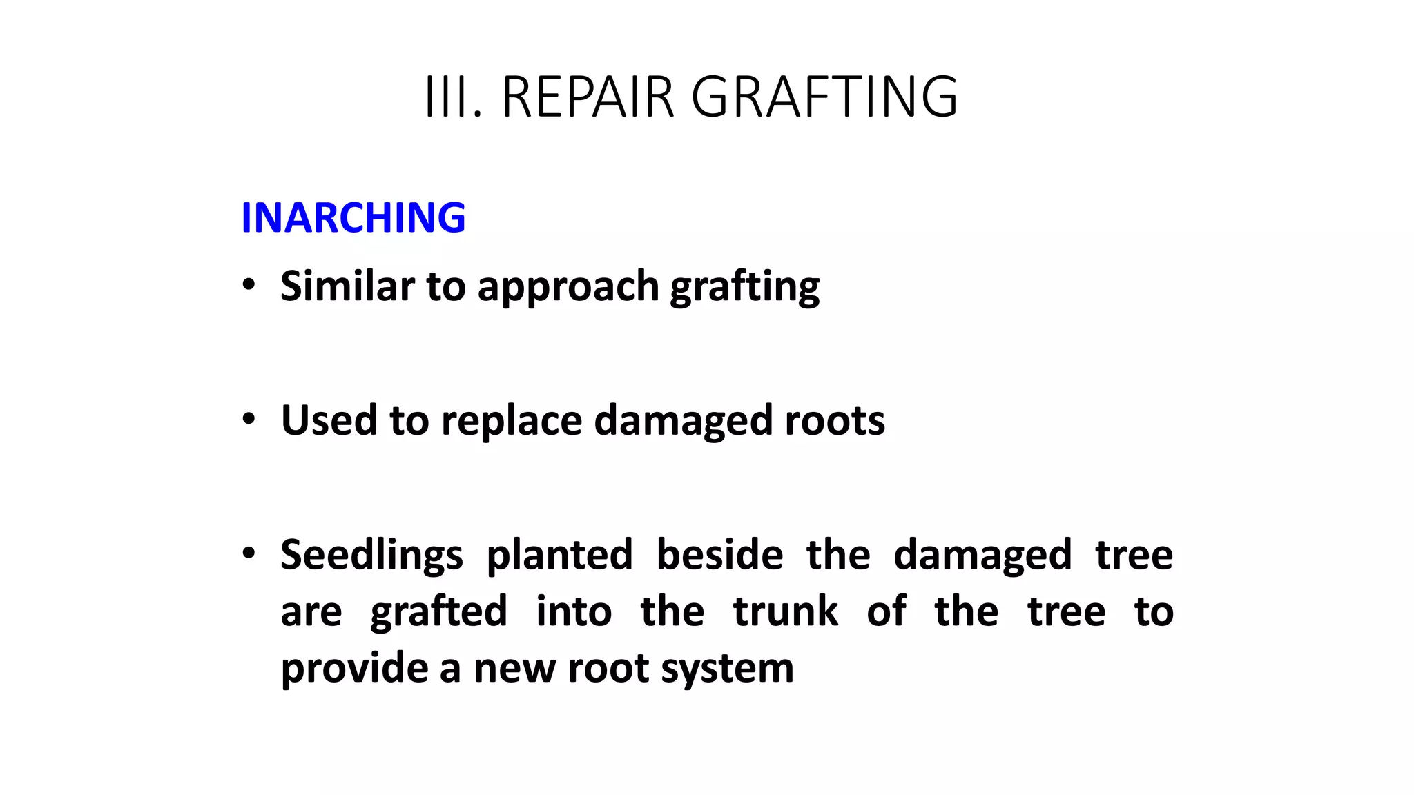 III. REPAIR GRAFTING
INARCHING
• Similar to approach grafting
• Used to replace damaged roots
• Seedlings planted beside the damaged tree
are grafted into the trunk of the tree to
provide a new root system
 