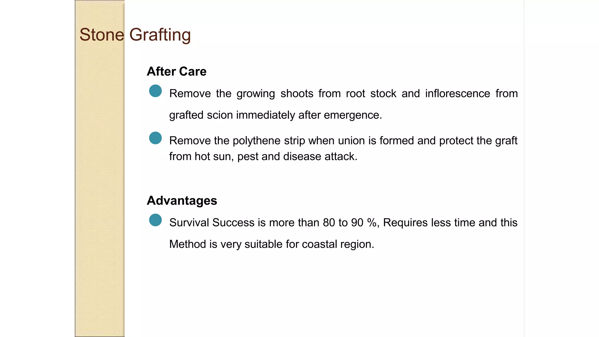 Stone Grafting
After Care
● Remove the growing shoots from root stock and inflorescence from
grafted scion immediately after emergence.
● Remove the polythene strip when union is formed and protect the graft
from hot sun, pest and disease attack.
Advantages
● Survival Success is more than 80 to 90 %, Requires less time and this
Method is very suitable for coastal region.
 