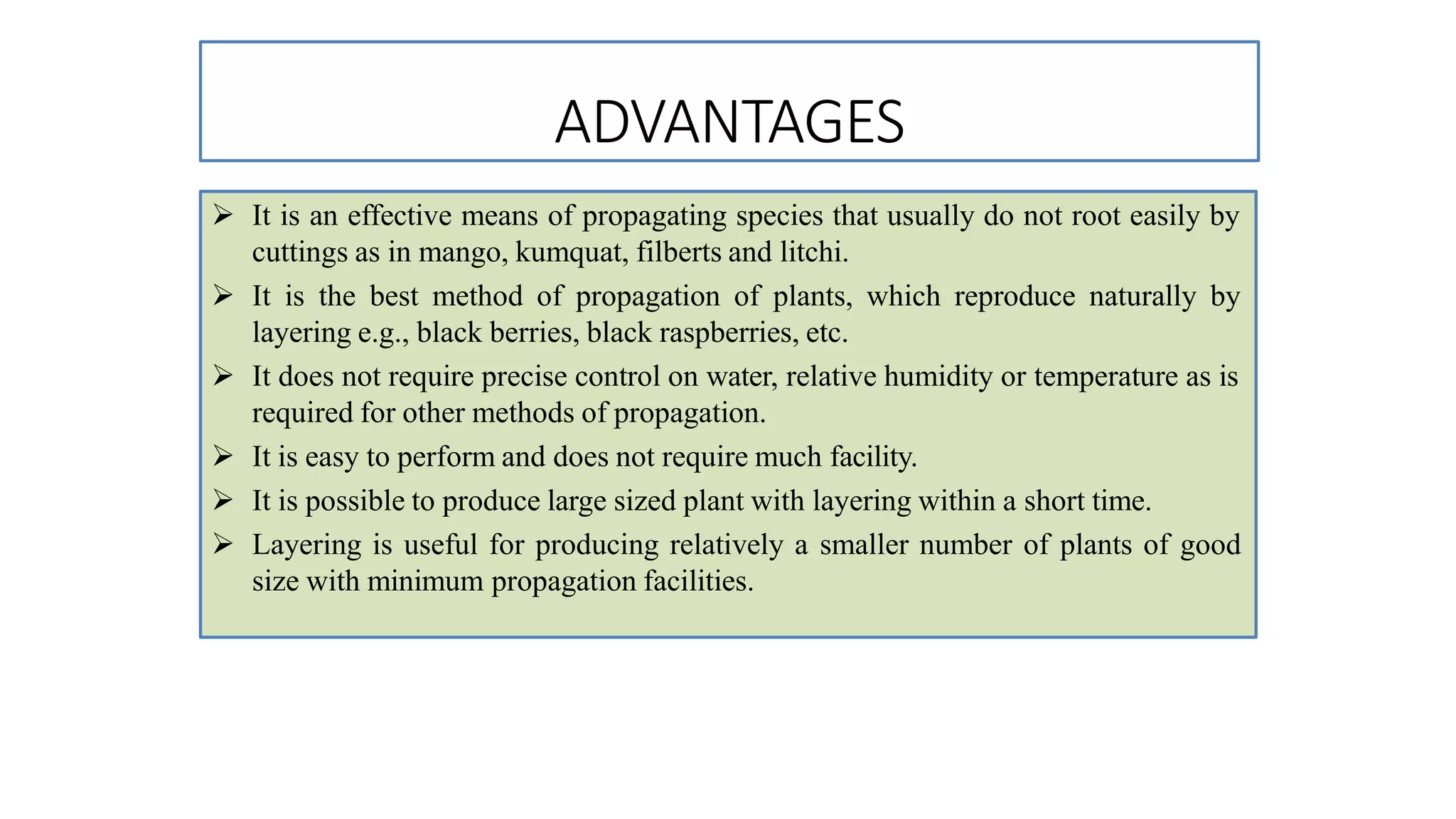 ADVANTAGES
 It is an effective means of propagating species that usually do not root easily by
cuttings as in mango, kumquat, filberts and litchi.
 It is the best method of propagation of plants, which reproduce naturally by
layering e.g., black berries, black raspberries, etc.
 It does not require precise control on water, relative humidity or temperature as is
required for other methods of propagation.
 It is easy to perform and does not require much facility.
 It is possible to produce large sized plant with layering within a short time.
 Layering is useful for producing relatively a smaller number of plants of good
size with minimum propagation facilities.
 