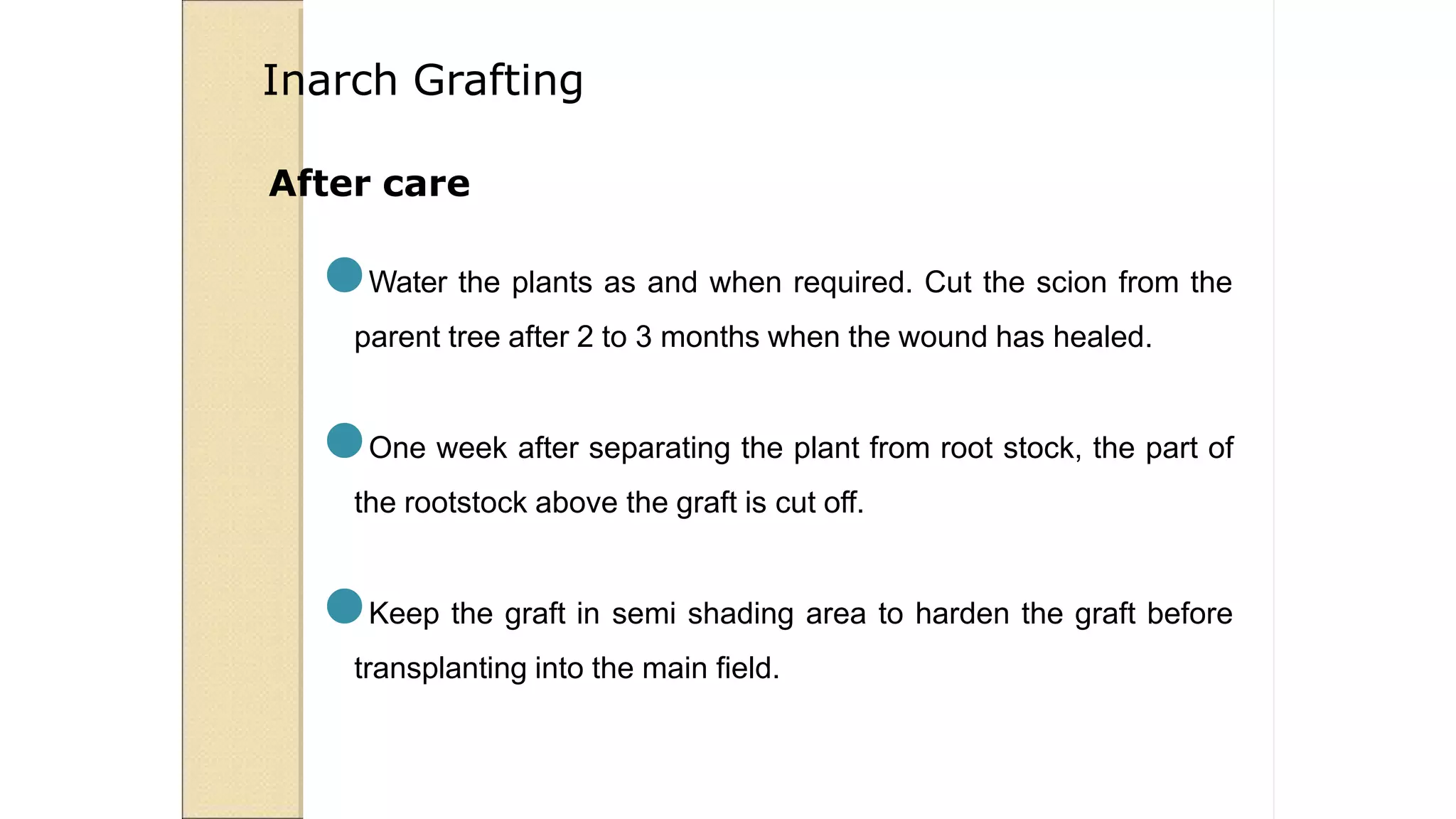 After care
●Water the plants as and when required. Cut the scion from the
parent tree after 2 to 3 months when the wound has healed.
●One week after separating the plant from root stock, the part of
the rootstock above the graft is cut off.
●Keep the graft in semi shading area to harden the graft before
transplanting into the main field.
Inarch Grafting
 