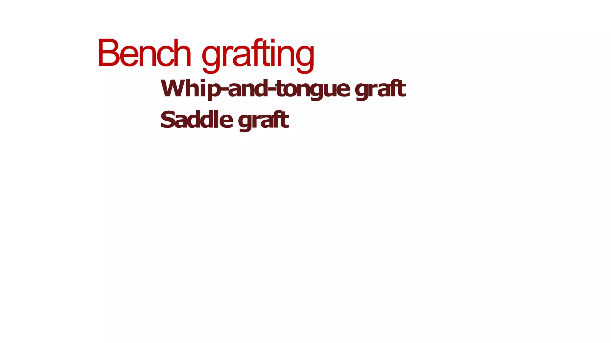 Bench grafting
Whip-and-tonguegraft
Saddle graft
 