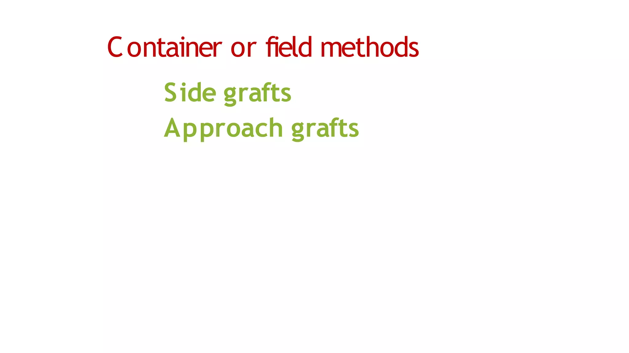 Container or field methods
Side grafts
Approach grafts
 